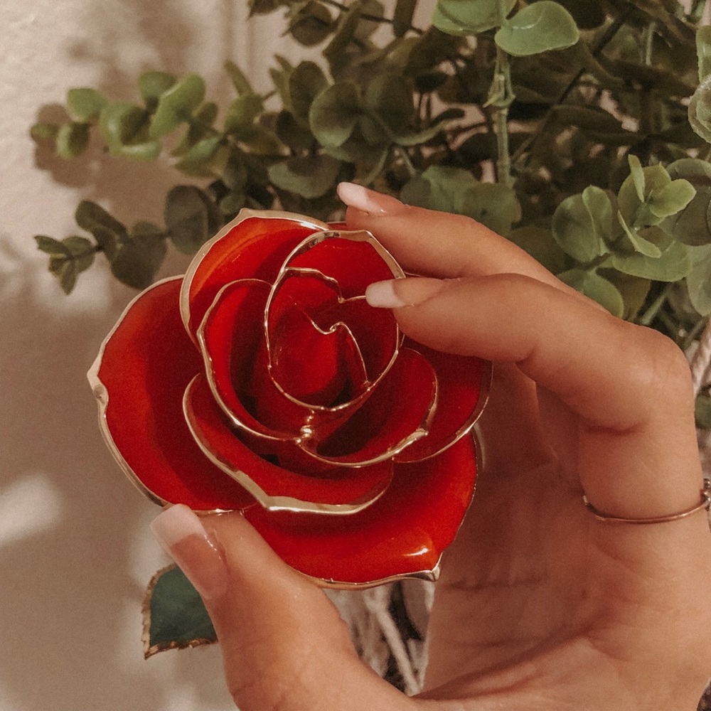 Meet your Posher, Angelina